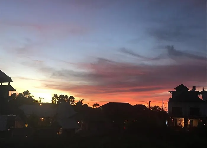 Phoenix 1